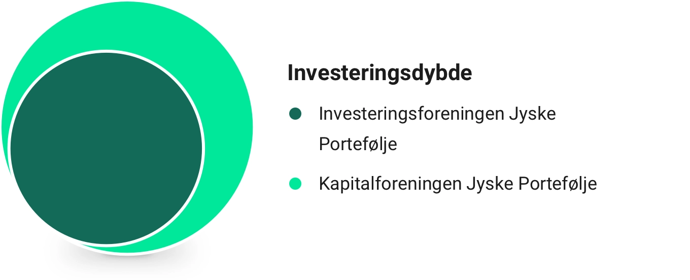 Grafik der illustrer forholdet mellem investerings- og kapitalforeningen