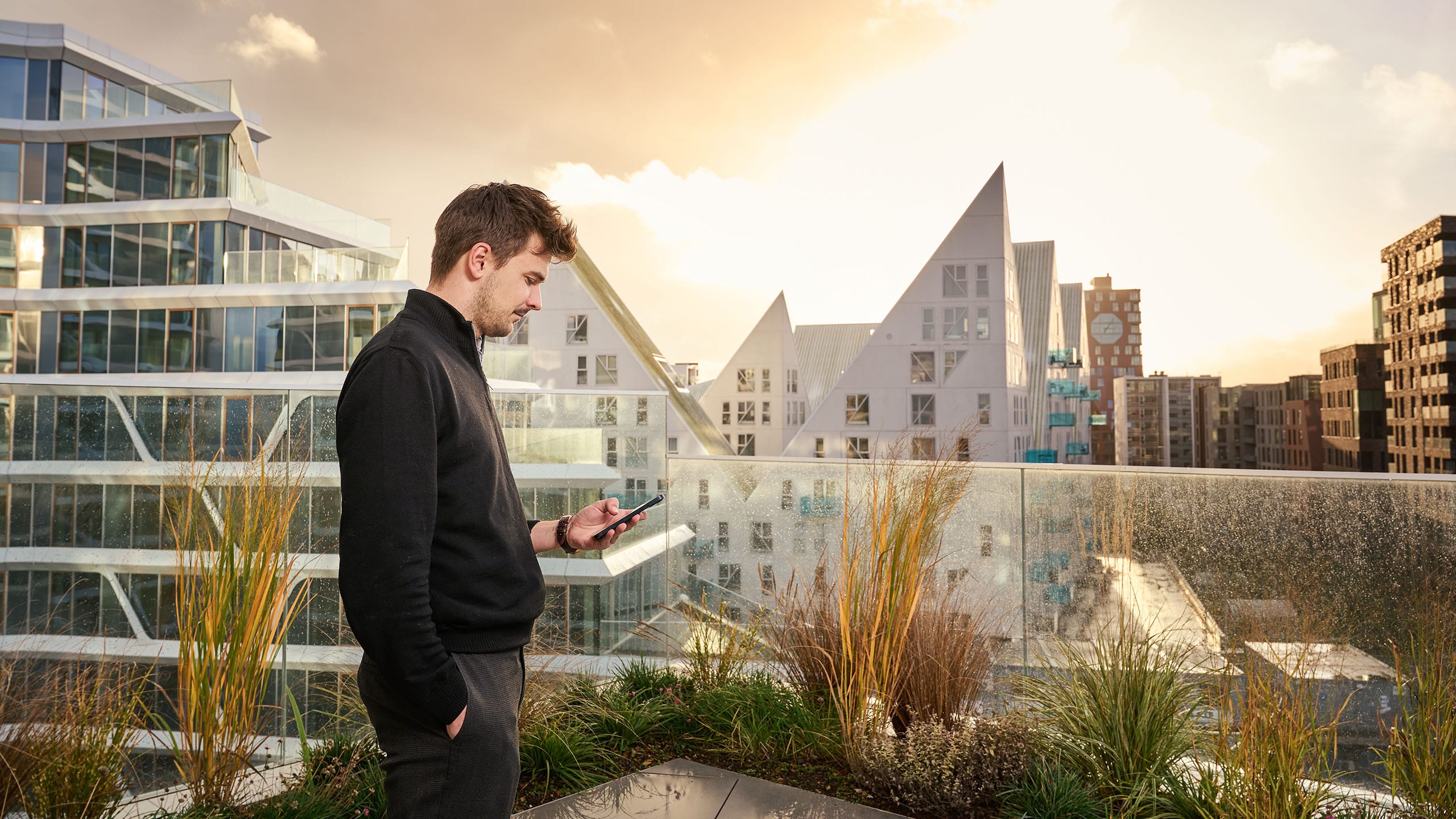 Mand Telefon Udsigt Aarhus Terrasse Solnedgang
