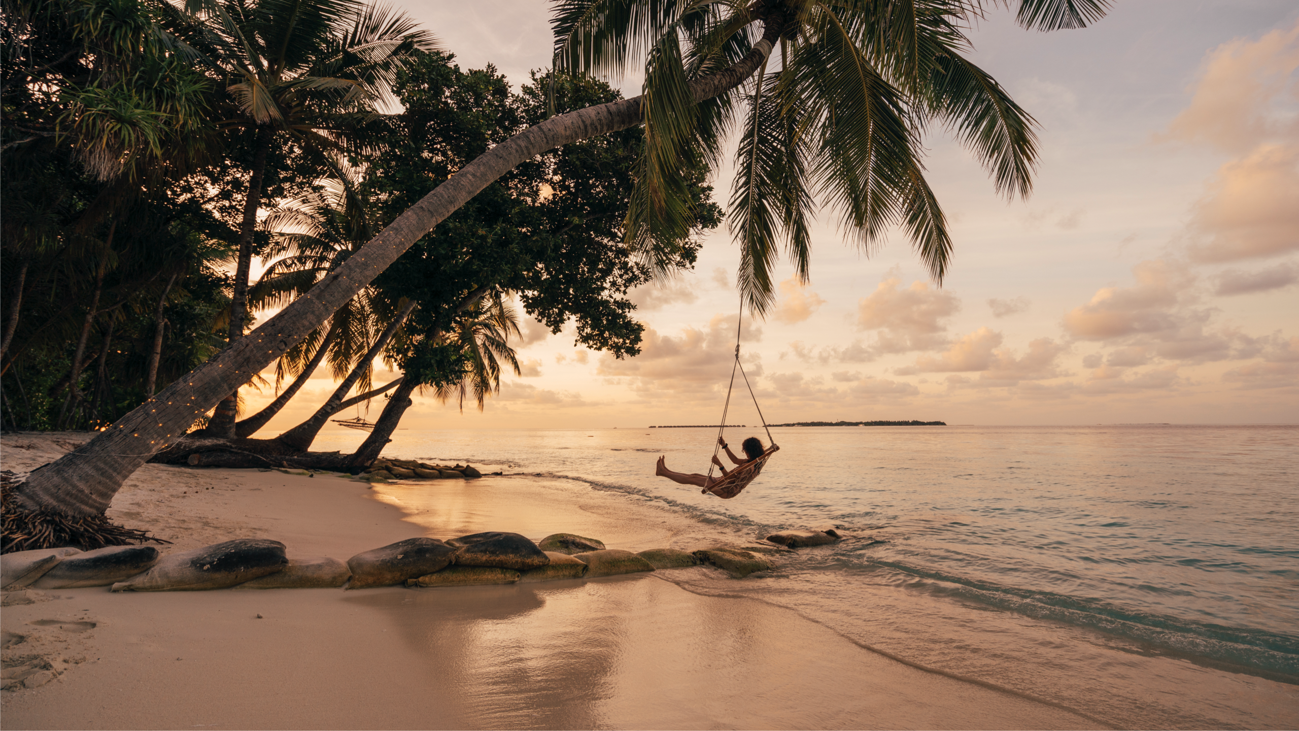 En gynge under en palme på en strand med solnedgang