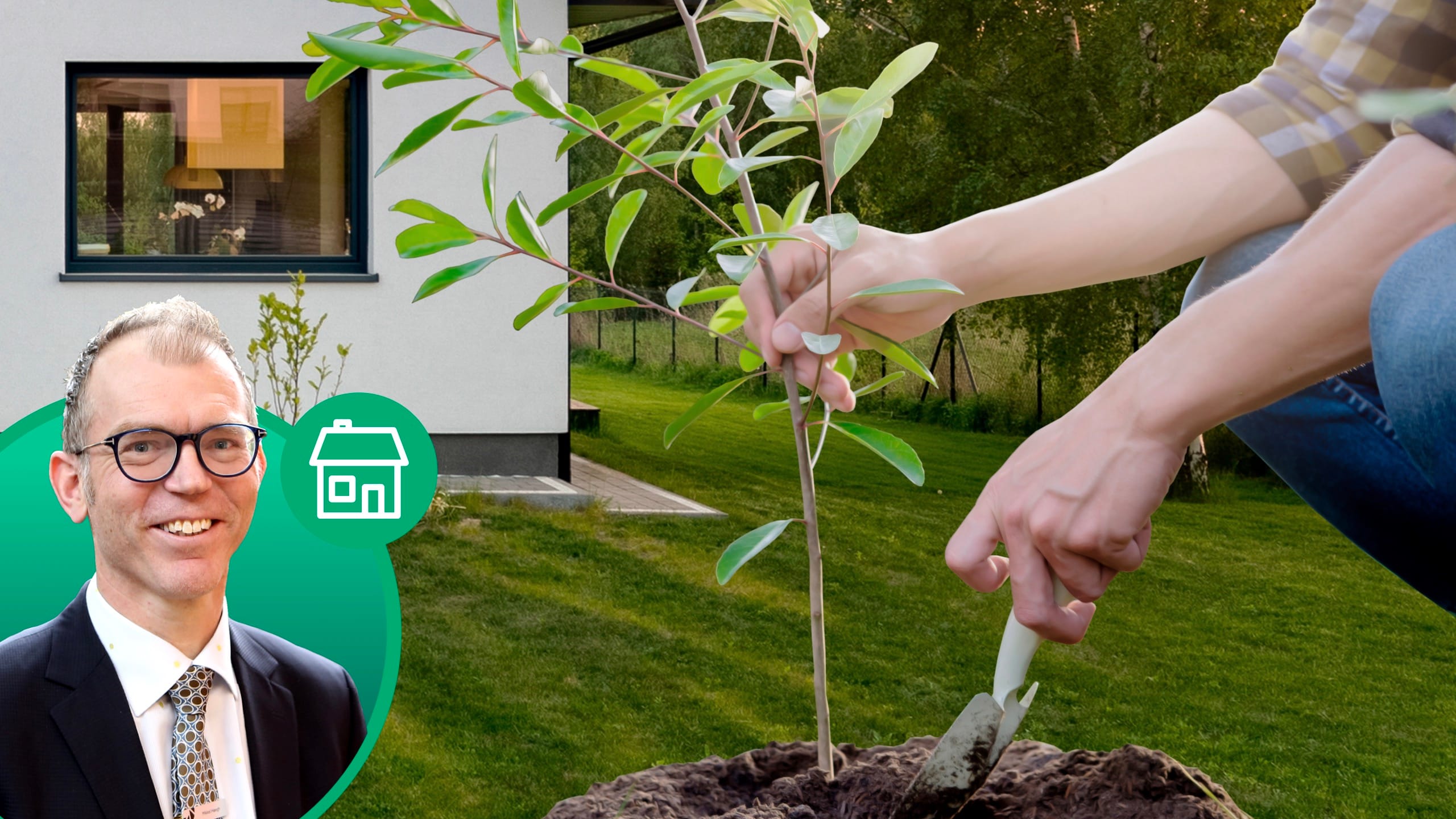 Boligøkonom Mikkel Høegh, hus med have, træ plantes