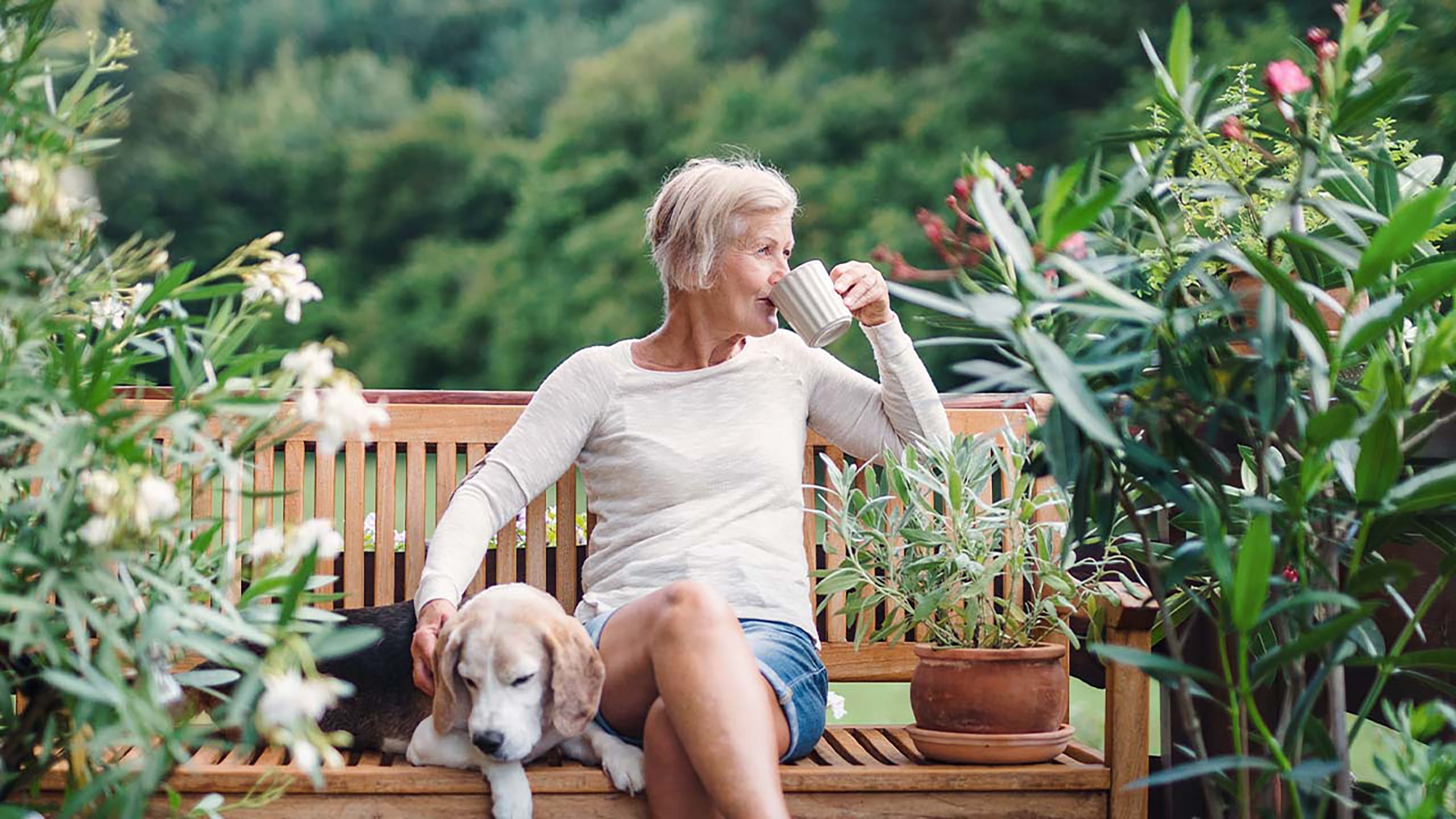 Kvinde i have med hund på bænk