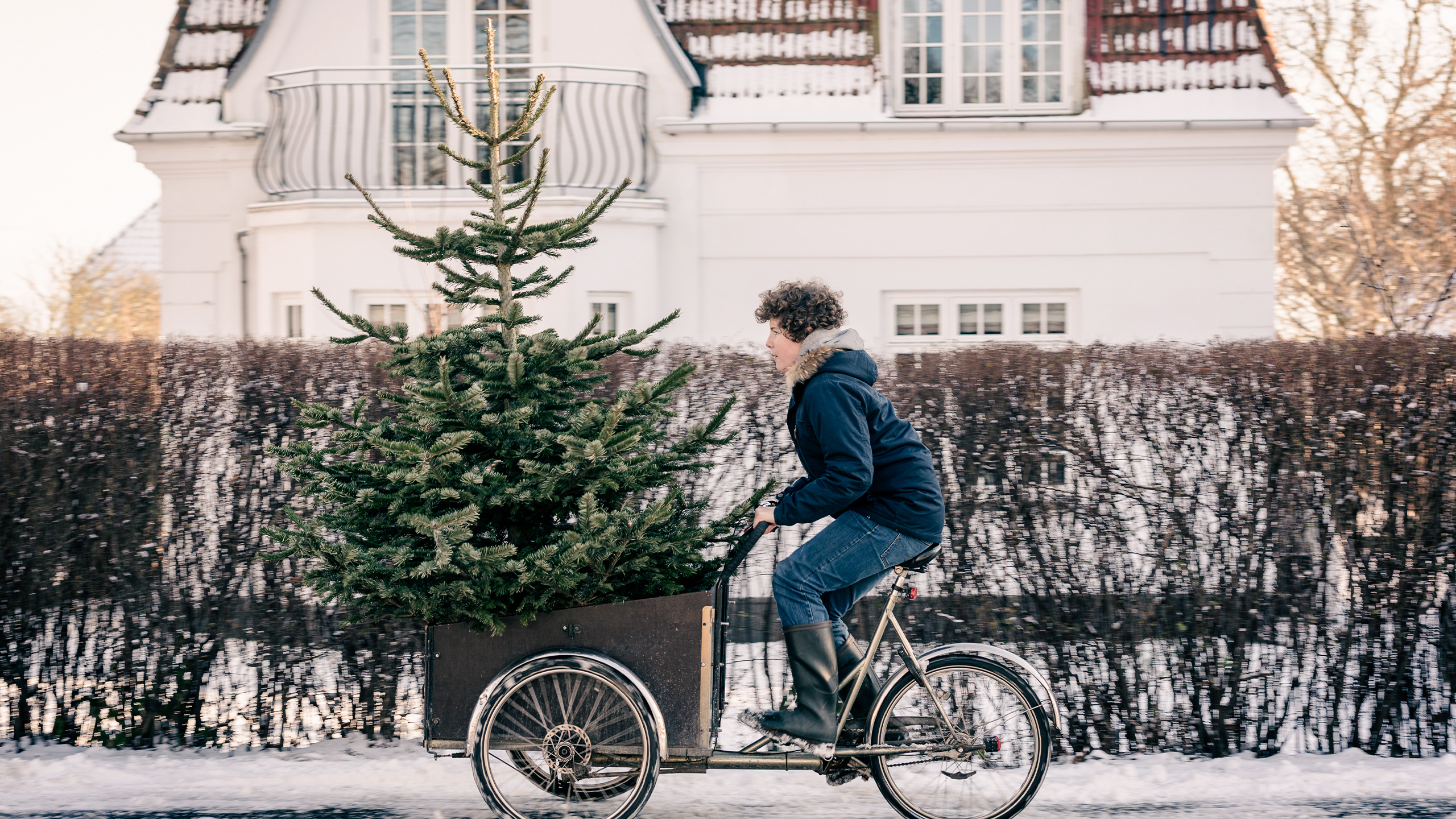 Juletræ på ladcykel foran hvid villa