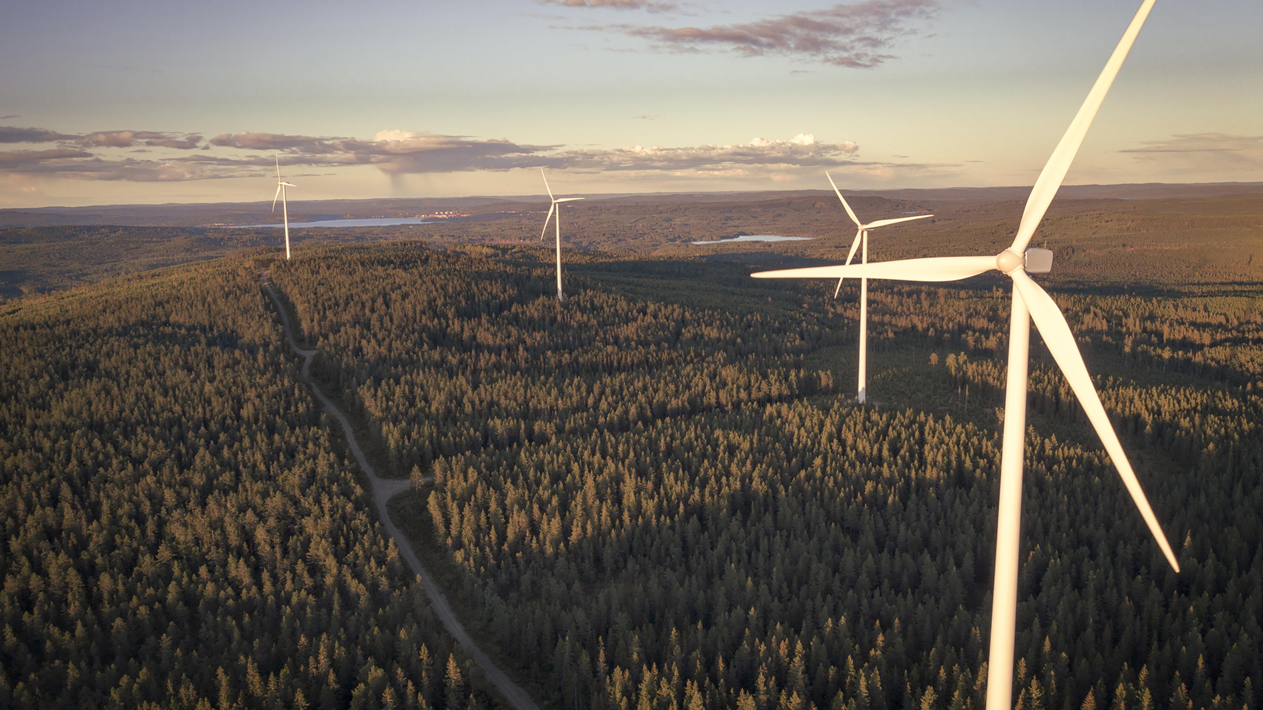 Vindmøller og skov i Danmark