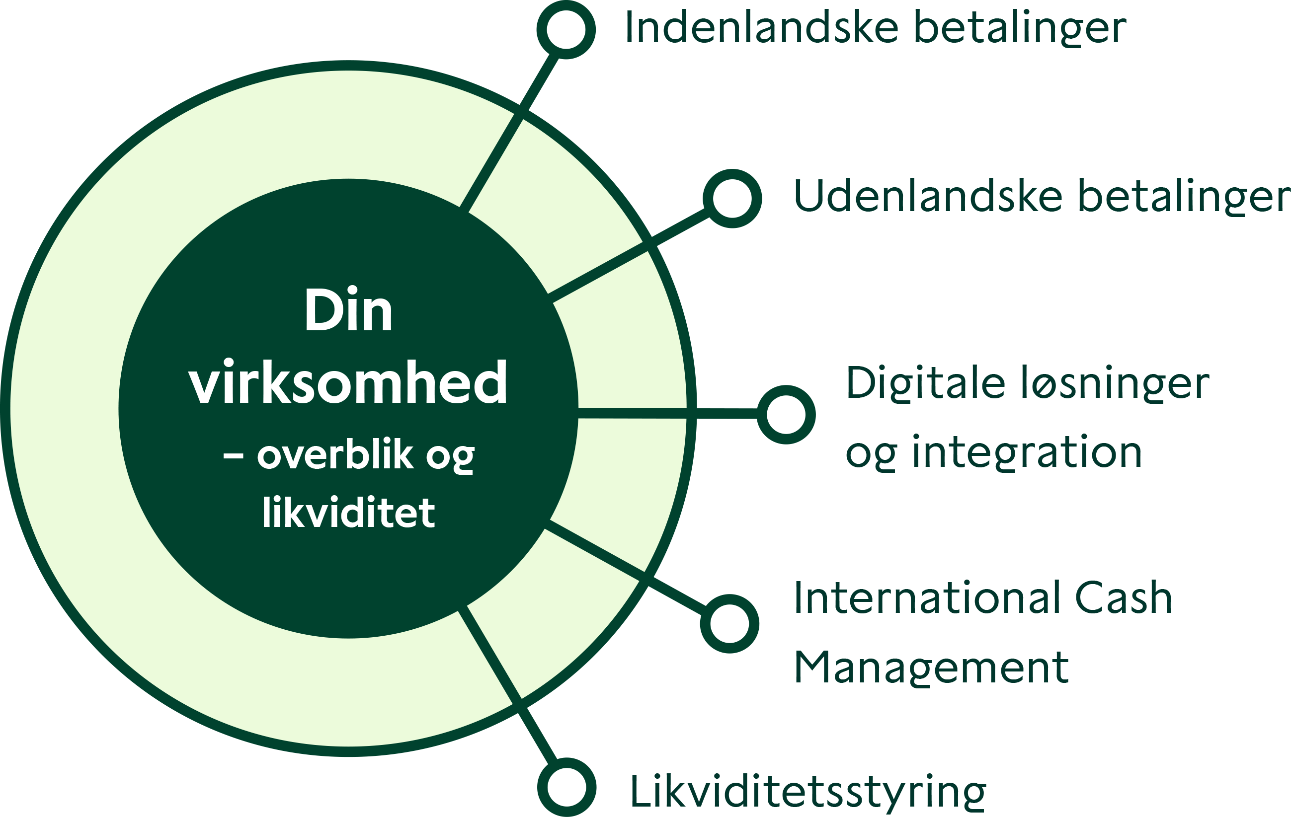 Nøglebegreber vedrørende cash management: Betalinger, integration, ICM og likviditet.