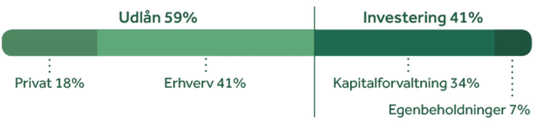Udlån 59%, investering 41%