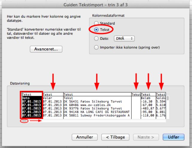 Excel guiden tekstimport trin 3