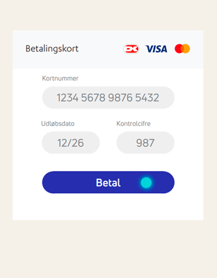 Indtastningsfelter og betal-knap ved onlinekøb